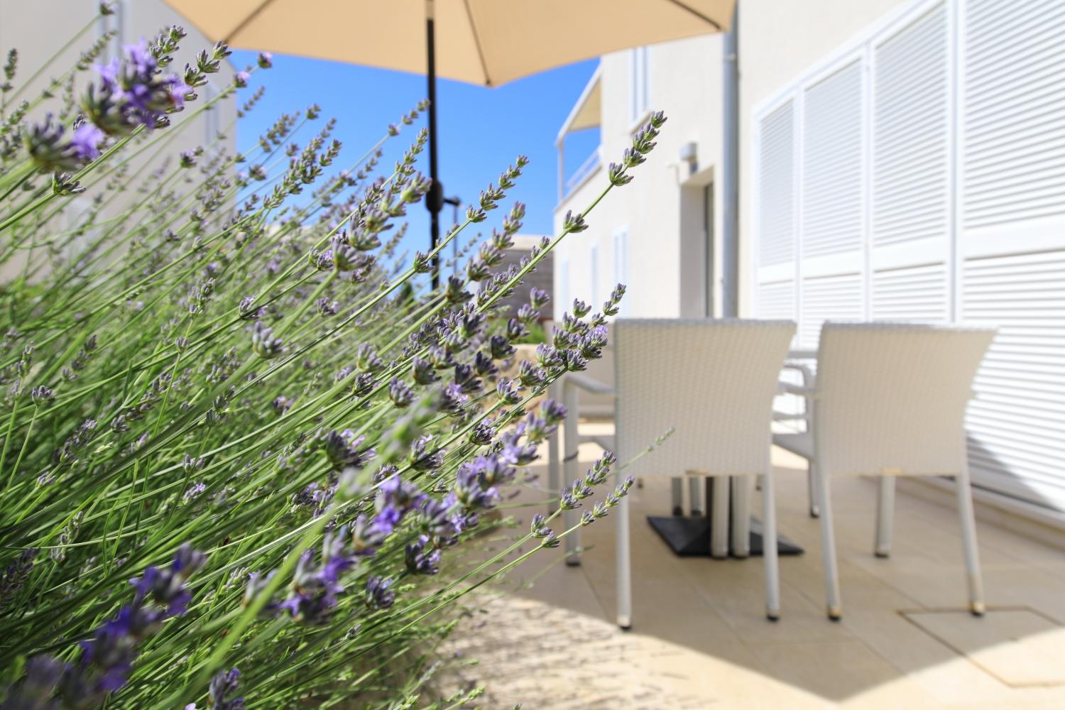 Sunnyside Apartments Resort Petrcane Eksteriør bilde